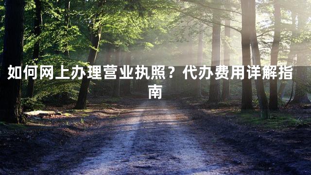 如何网上办理营业执照？代办费用详解指南