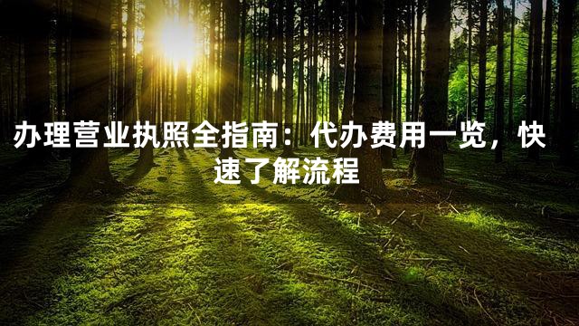 办理营业执照全指南：代办费用一览，快速了解流程