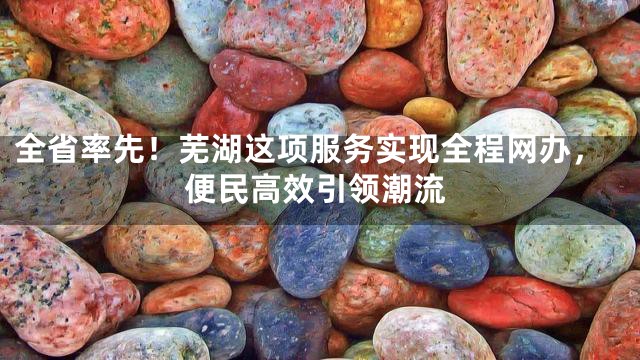 全省率先！芜湖这项服务实现全程网办，便民高效引领潮流