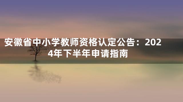 安徽省中小学教师资格认定公告：2024年下半年申请指南