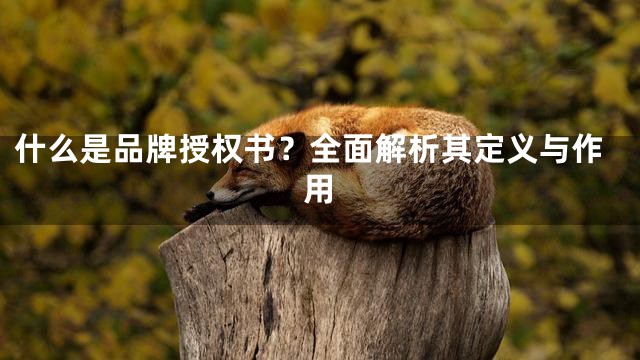 什么是品牌授权书？全面解析其定义与作用