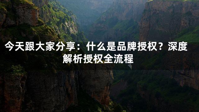 今天跟大家分享：什么是品牌授权？深度解析授权全流程