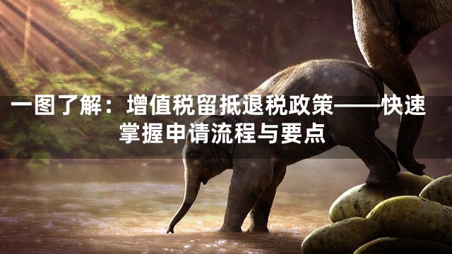 一图了解：增值税留抵退税政策——快速掌握申请流程与要点
