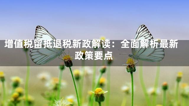 增值税留抵退税新政解读：全面解析最新政策要点