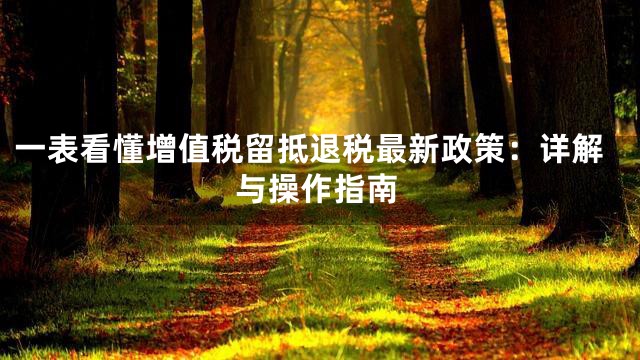 一表看懂增值税留抵退税最新政策：详解与操作指南