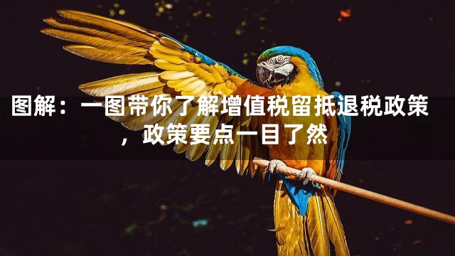 图解：一图带你了解增值税留抵退税政策，政策要点一目了然