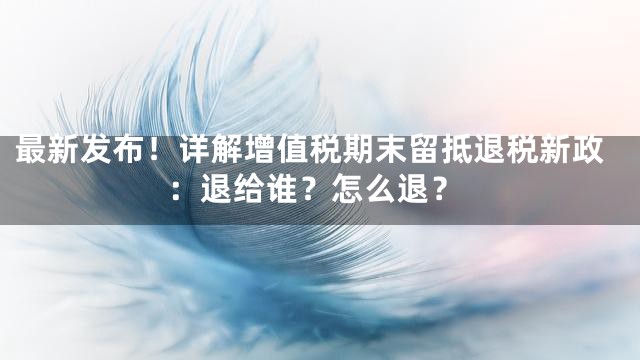 最新发布！详解增值税期末留抵退税新政：退给谁？怎么退？