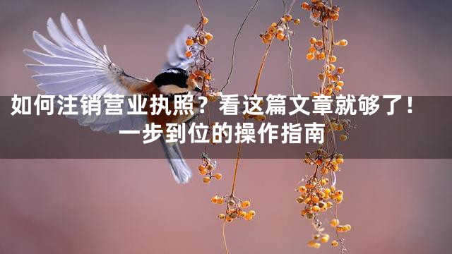 如何注销营业执照？看这篇文章就够了！一步到位的操作指南