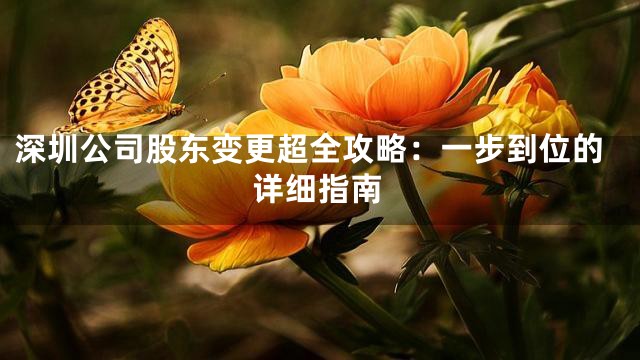 深圳公司股东变更超全攻略：一步到位的详细指南