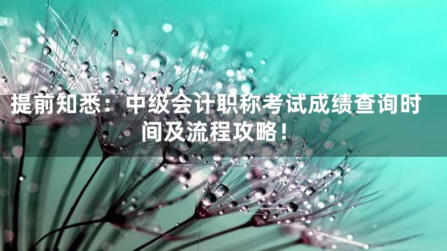 提前知悉：中级会计职称考试成绩查询时间及流程攻略！