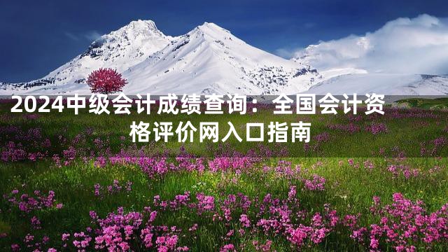 2024中级会计成绩查询：全国会计资格评价网入口指南