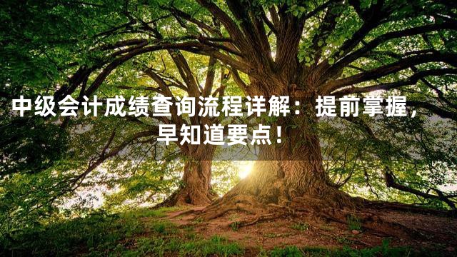 中级会计成绩查询流程详解：提前掌握，早知道要点！