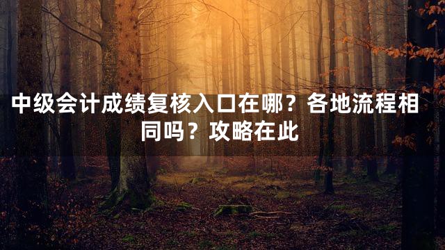 中级会计成绩复核入口在哪？各地流程相同吗？攻略在此