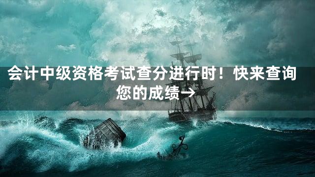 会计中级资格考试查分进行时！快来查询您的成绩→