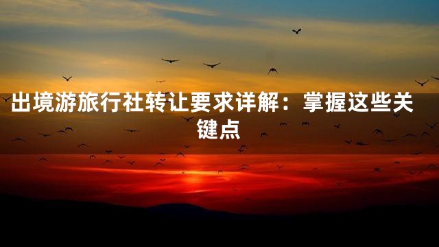 出境游旅行社转让要求详解：掌握这些关键点