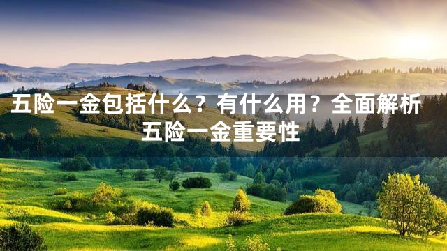 五险一金包括什么？有什么用？全面解析五险一金重要性