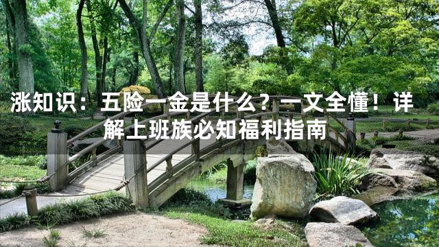 涨知识：五险一金是什么？一文全懂！详解上班族必知福利指南