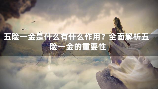 五险一金是什么有什么作用？全面解析五险一金的重要性