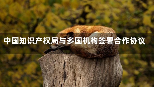 中国知识产权局与多国机构签署合作协议