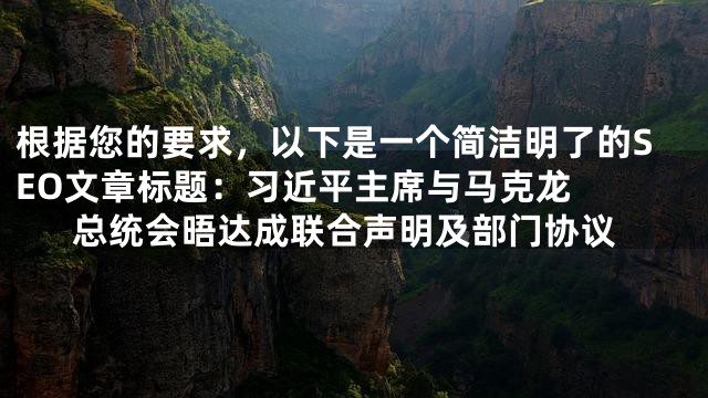 根据您的要求，以下是一个简洁明了的SEO文章标题：

习近平主席与马克龙总统会晤达成联合声明及部门协议