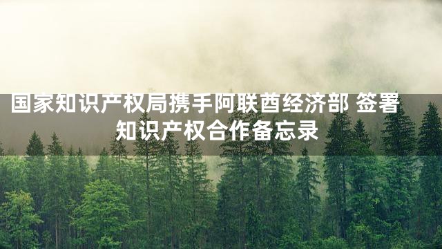 国家知识产权局携手阿联酋经济部 签署知识产权合作备忘录