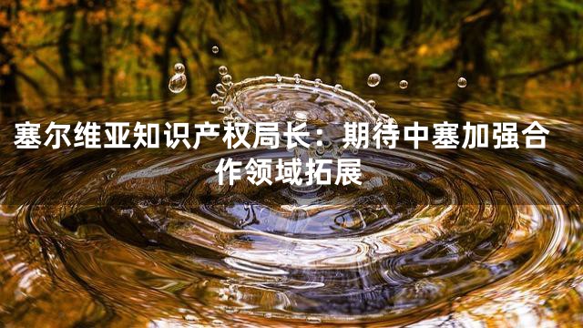 塞尔维亚知识产权局长：期待中塞加强合作领域拓展