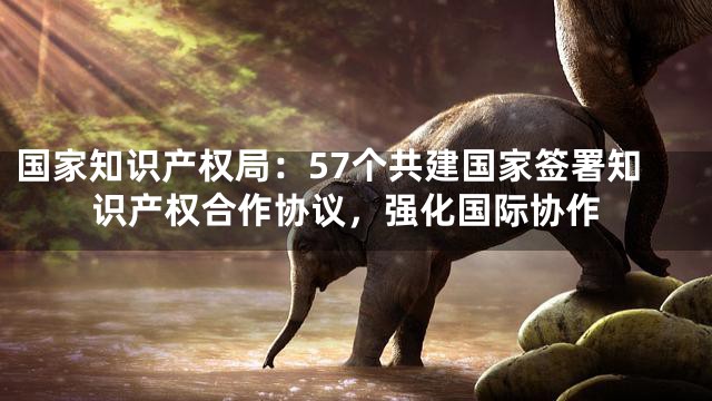 国家知识产权局：57个共建国家签署知识产权合作协议，强化国际协作