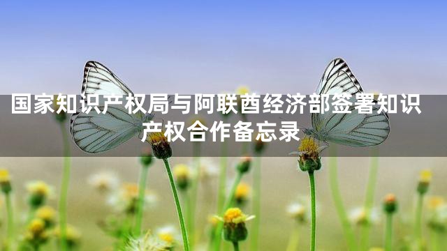 国家知识产权局与阿联酋经济部签署知识产权合作备忘录