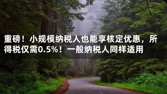 重磅！小规模纳税人也能享核定优惠，所得税仅需0.5%！一般纳税人同样适用