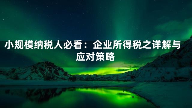 小规模纳税人必看：企业所得税之详解与应对策略