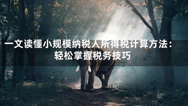 一文读懂小规模纳税人所得税计算方法：轻松掌握税务技巧
