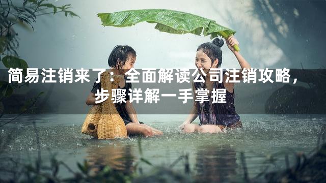 简易注销来了：全面解读公司注销攻略，步骤详解一手掌握