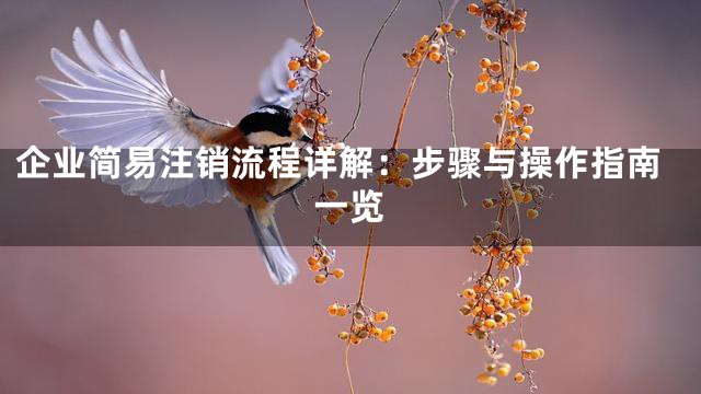 企业简易注销流程详解：步骤与操作指南一览