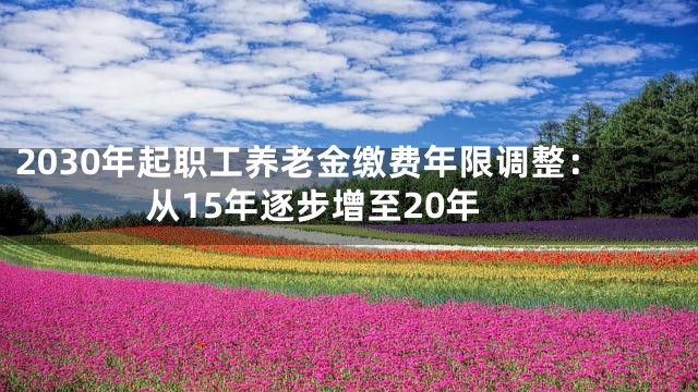 2030年起职工养老金缴费年限调整：从15年逐步增至20年
