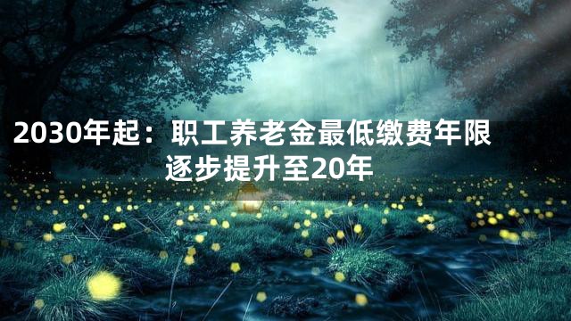 2030年起：职工养老金最低缴费年限逐步提升至20年