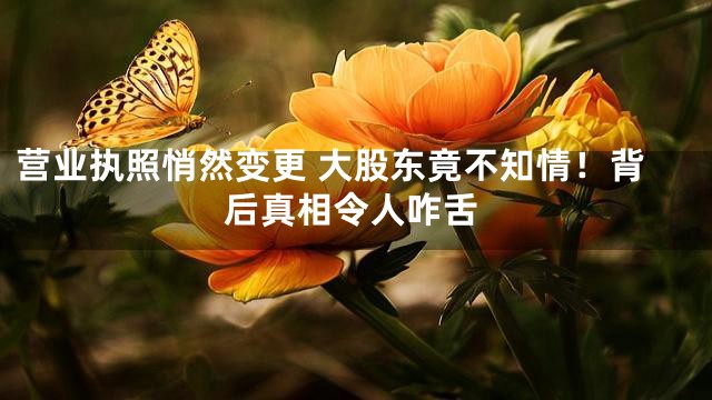 营业执照悄然变更 大股东竟不知情！背后真相令人咋舌