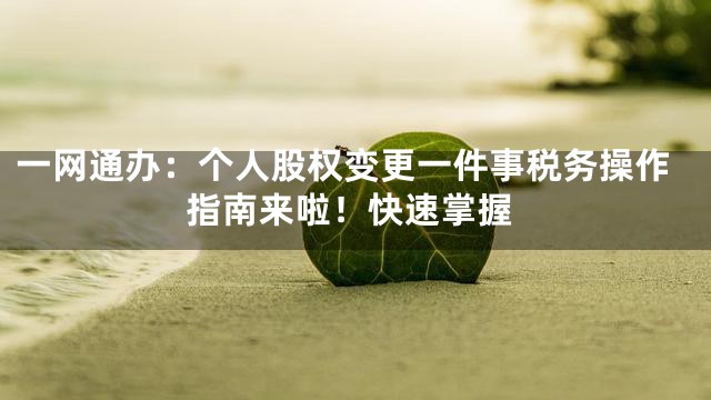 一网通办：个人股权变更一件事税务操作指南来啦！快速掌握