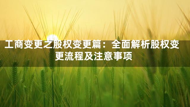 工商变更之股权变更篇：全面解析股权变更流程及注意事项