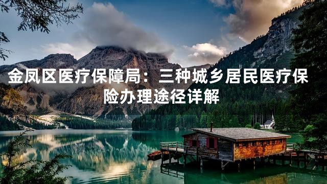 金凤区医疗保障局：三种城乡居民医疗保险办理途径详解