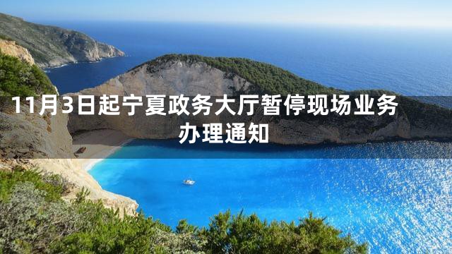 11月3日起宁夏政务大厅暂停现场业务办理通知