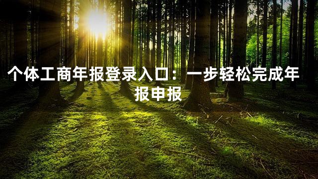 个体工商年报登录入口：一步轻松完成年报申报