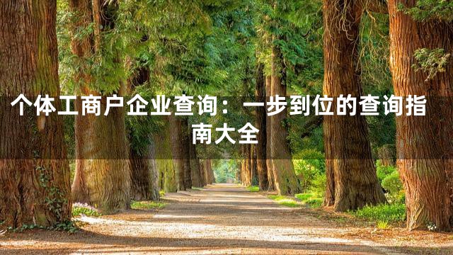个体工商户企业查询：一步到位的查询指南大全