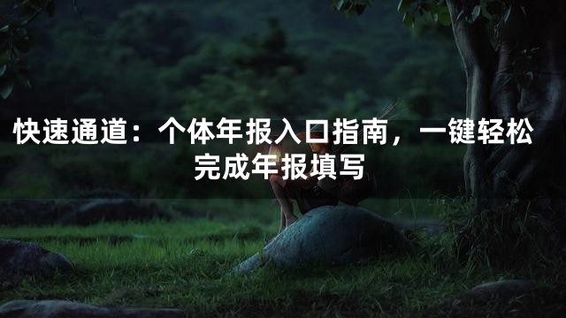 快速通道：个体年报入口指南，一键轻松完成年报填写