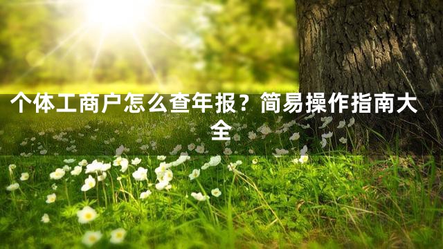 个体工商户怎么查年报？简易操作指南大全