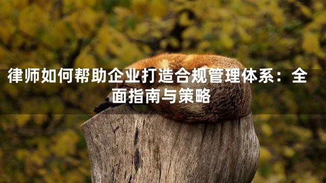 律师如何帮助企业打造合规管理体系：全面指南与策略