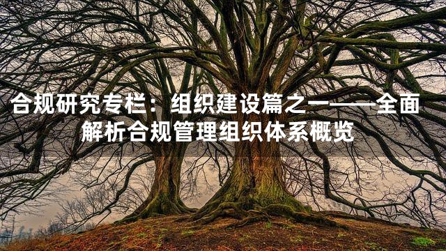 合规研究专栏：组织建设篇之一——全面解析合规管理组织体系概览