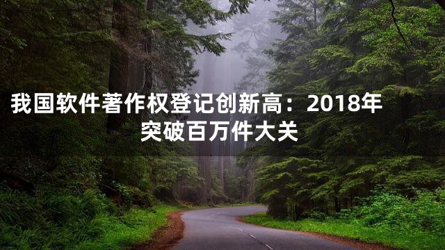 我国软件著作权登记创新高：2018年突破百万件大关