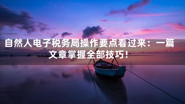 自然人电子税务局操作要点看过来：一篇文章掌握全部技巧！