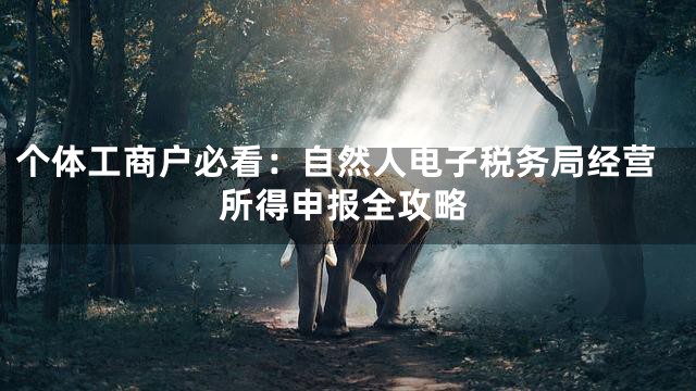 个体工商户必看：自然人电子税务局经营所得申报全攻略