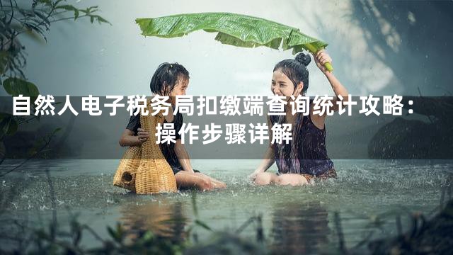 自然人电子税务局扣缴端查询统计攻略：操作步骤详解